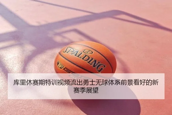 库里休赛期特训视频流出勇士无球体系前景看好的新赛季展望