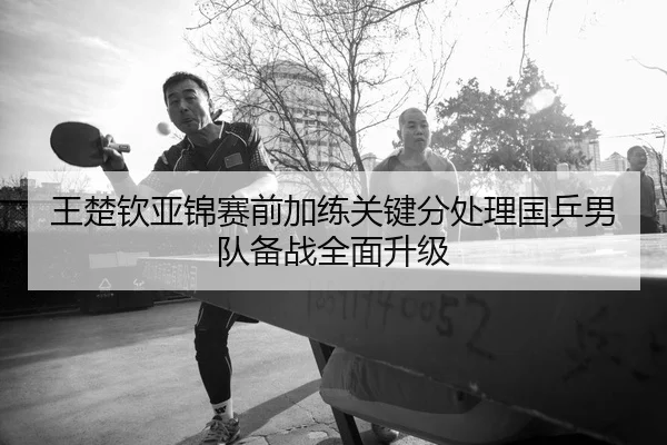 王楚钦亚锦赛前加练关键分处理国乒男队备战全面升级